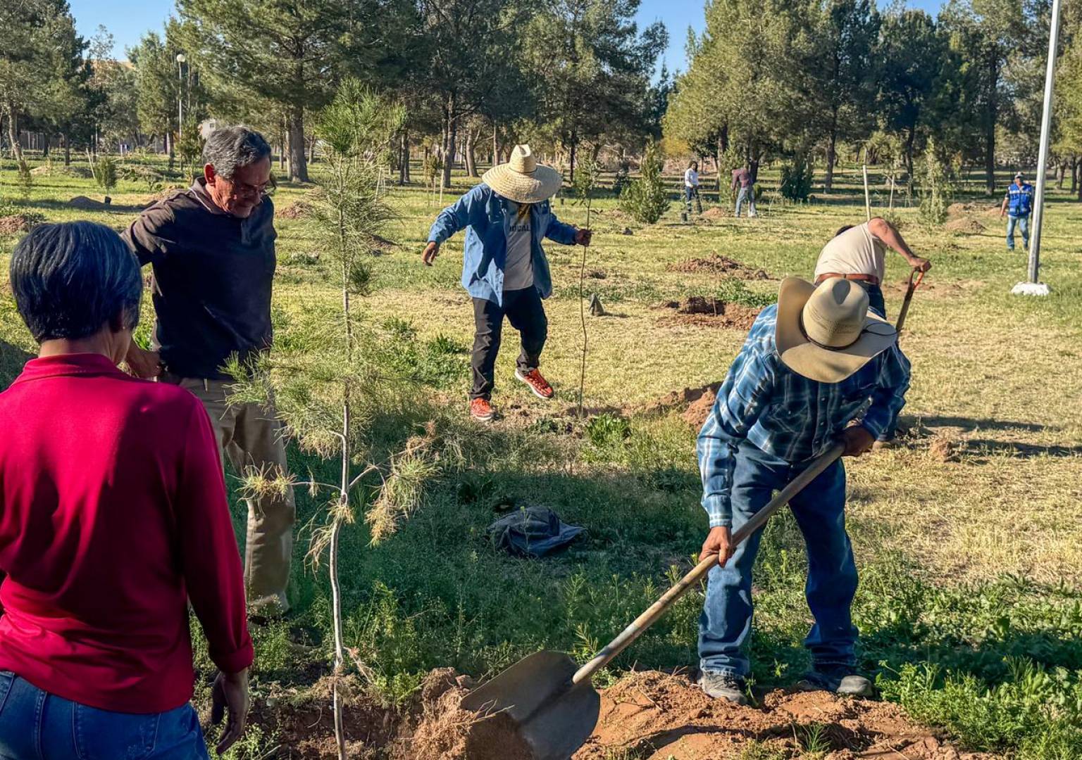 Fortalecen reforestación del Parque Fundadores para mejorar el entorno ambiental