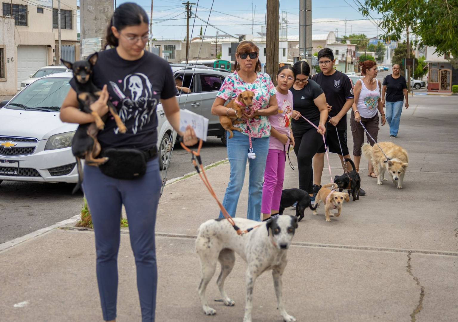 Reconocen participación ciudadana en campaña de vacunación antirrábica y anuncian visitas a colonias rurales de Delicias