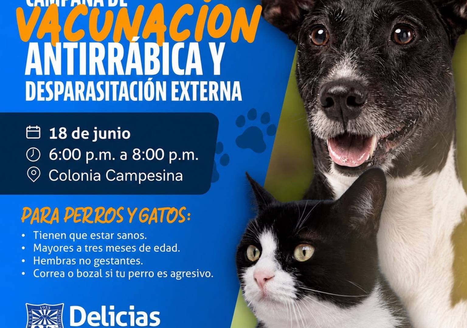 Realizarán campaña de vacunación antirrábica y desparasitación externa en la Colonia Campesina
