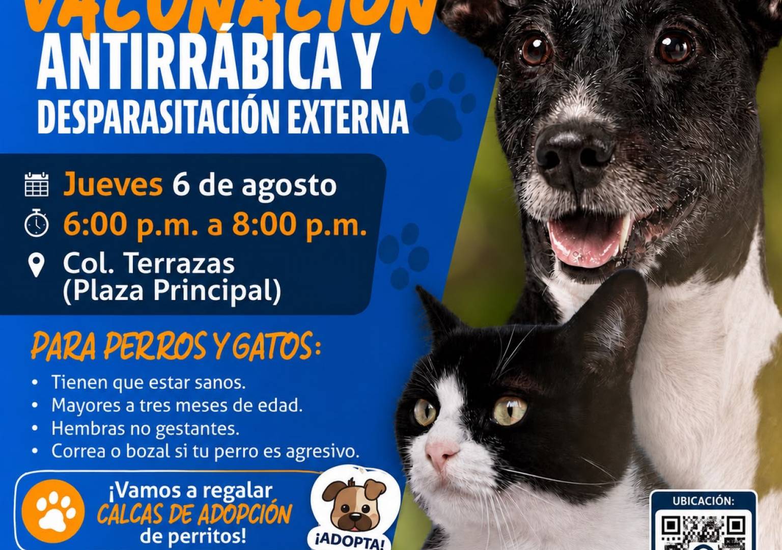 Invitan a jornada gratuita de vacunación antirrábica y desparasitación en la colonia Terrazas